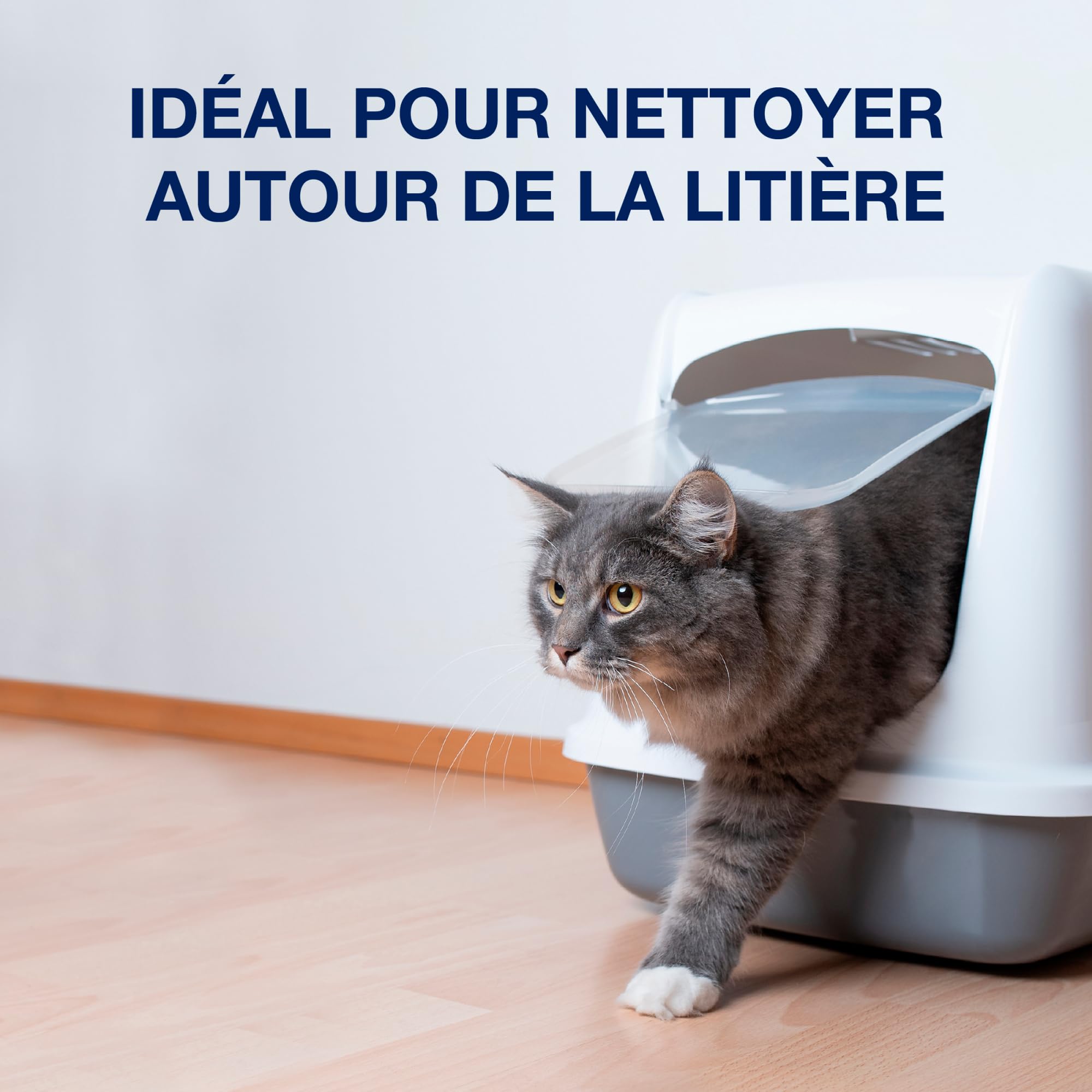 bona-nettoyant-en-profondeur-parquets-sp-cial-animaux-1-l-d-tachant-et-liminateu image 6