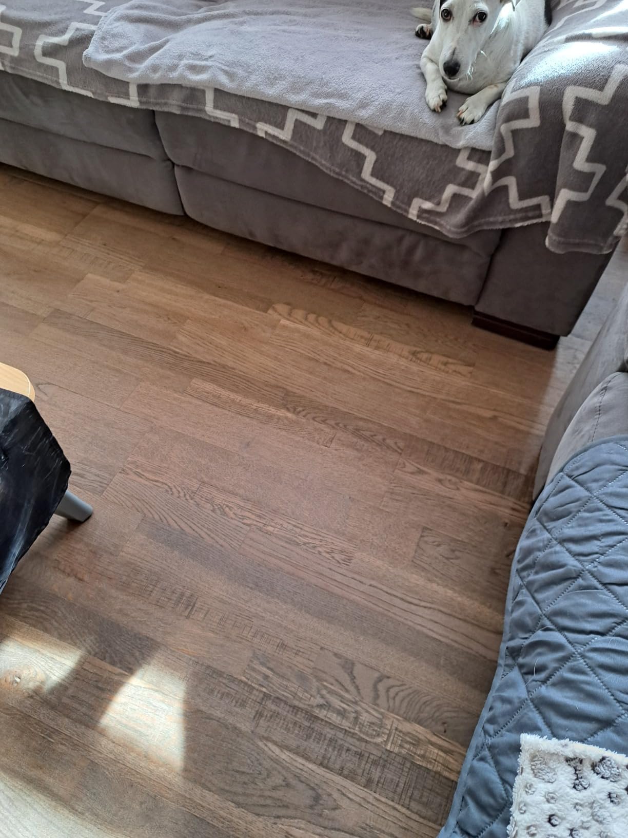 Mon parquet est comme neuf