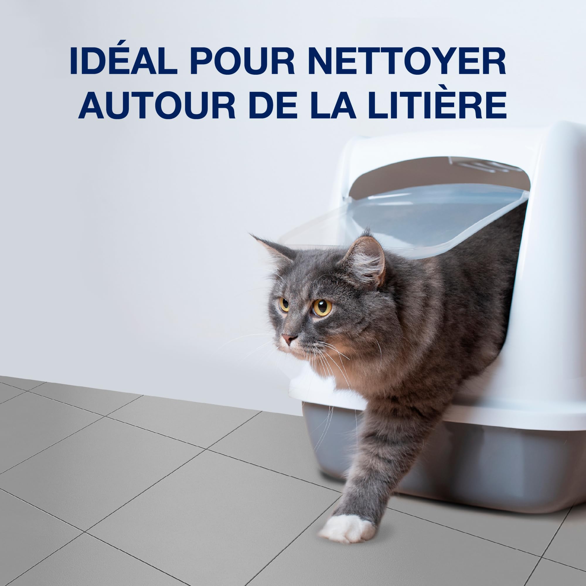 bona-nettoyant-en-profondeur-sols-durs-sp-cial-animaux-1-l-d-tachant-et-liminate image 6
